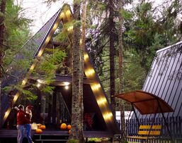 Атмосферные коттеджи A-frame ЁLKI в Новожилово Атмосферные коттеджи A-frame ЁLKI в Новожилово