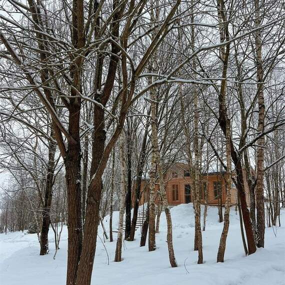 Усадьба Седьмое небо/ Заповедный лес. Фото 21