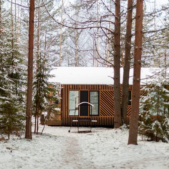 Номер «Сосновый бор». Фото 48