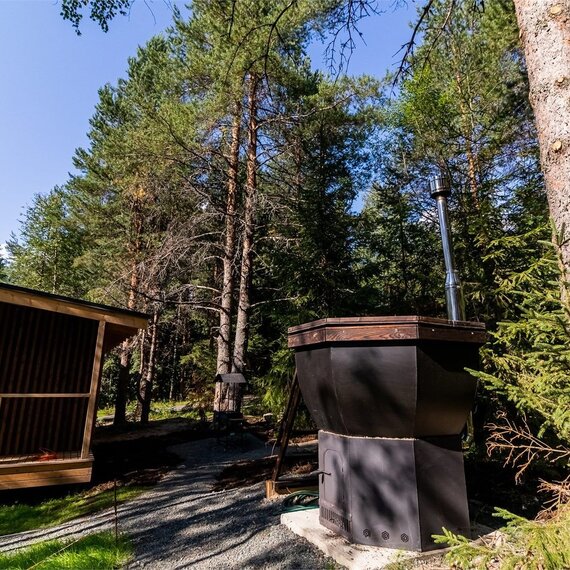 Номер «Березовая роща». Фото 30