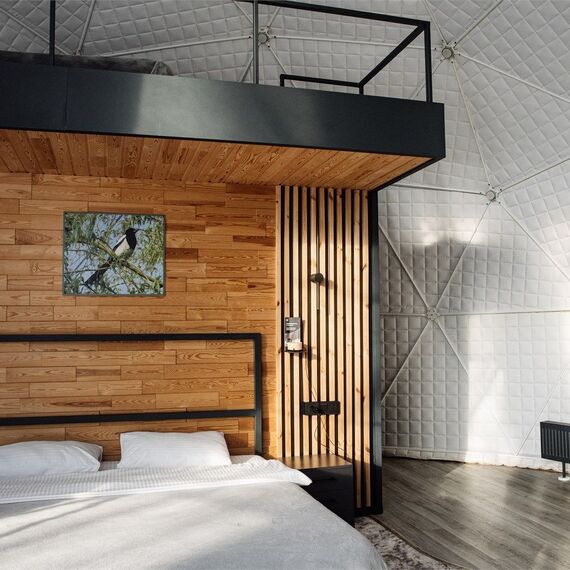 Геокупол лес. Фото 14