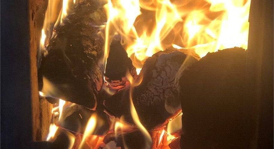 Лесная Гавань - Фото 4