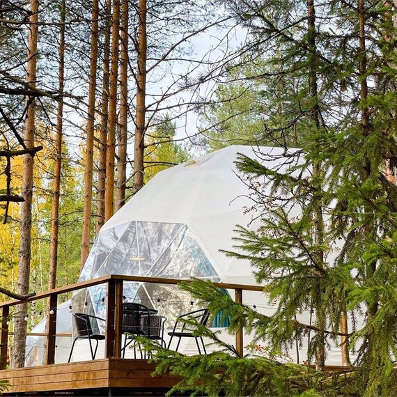 Купол «Петроглифы». Фото 17