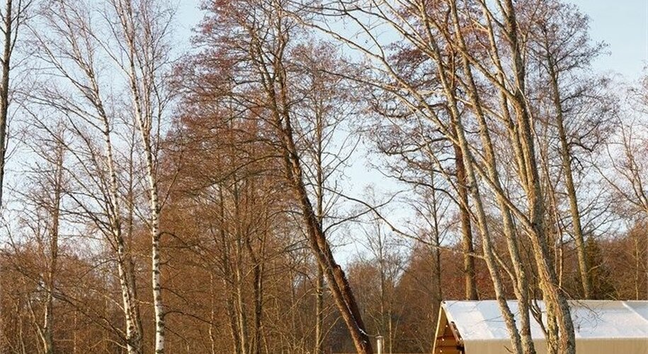  Lembo Glamping - Фото 7