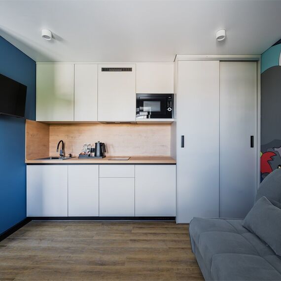 Стандарт с 1 двуспальным диваном. Фото 3