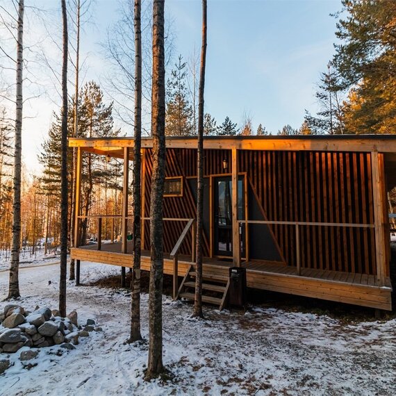 Номер «Березовая роща». Фото 45