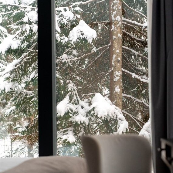 Дом для 2 - 4 гостей с купелью. Фото 39