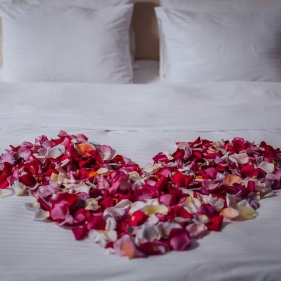 Люкс с видом на Казанский собор. Фото 17