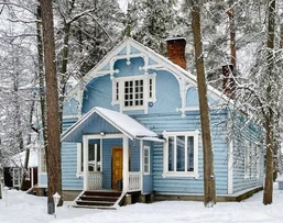 Коттедж в Vyritsa village
