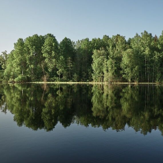 Эко Клуб 