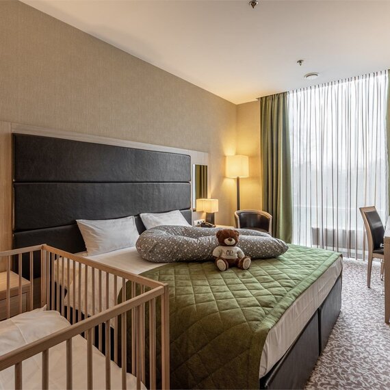 Стандарт Плюс с двуспальной кроватью. Фото 2