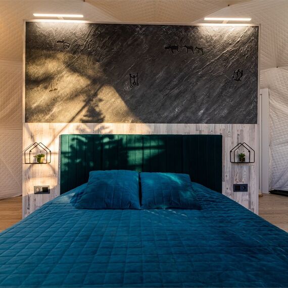 Купол «Петроглифы». Фото 59