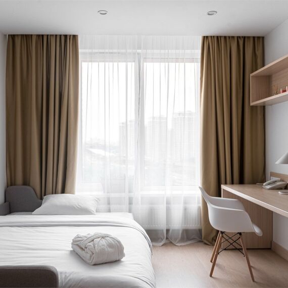 Студия (Ботаника). Фото 3