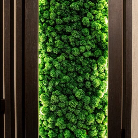 РЕЗИДЕНЦИЯ для большой компании. Фото 23