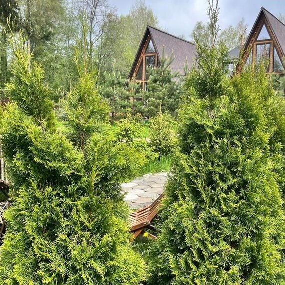 СВЕТЛОЕ 3. Фото 28