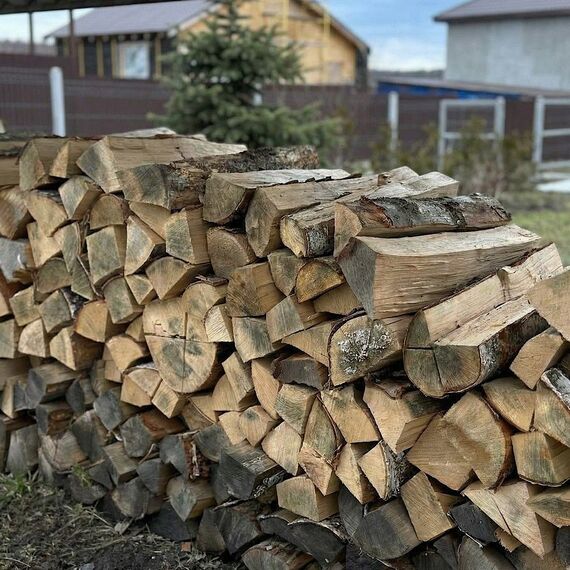 Lato-65. Фото 21