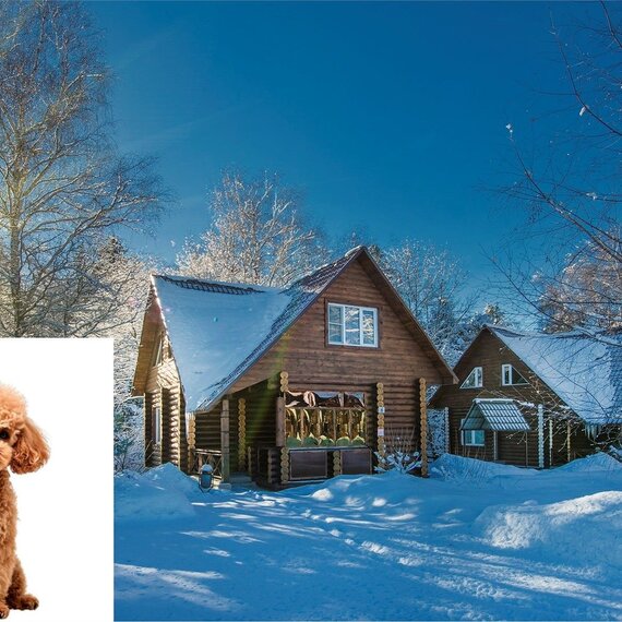 Коттедж. Фото 20