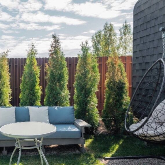 Happy House. Фото 5