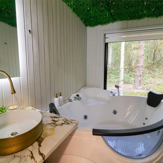 Номер с джакузи «Могучая ель». Фото 1