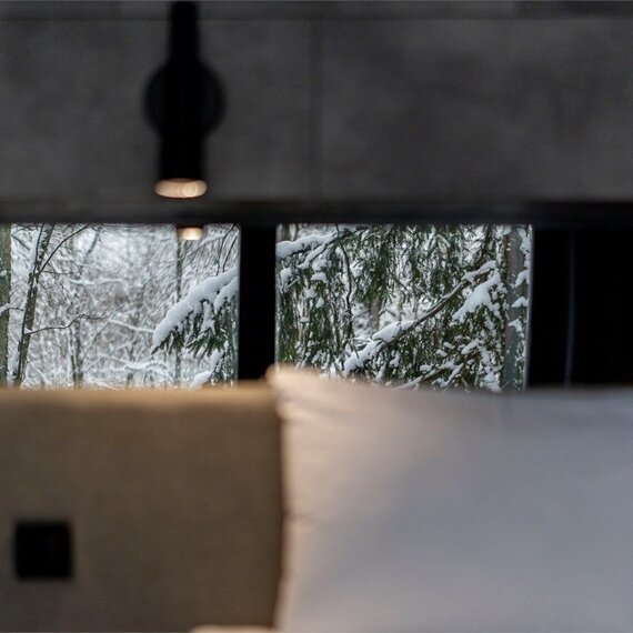 Дом для семьи или компании с 2-мя спальнями сауной и купелью. Фото 35