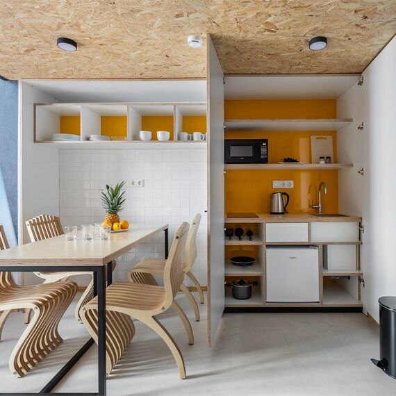 Дизайнерские двухуровневые апартаменты