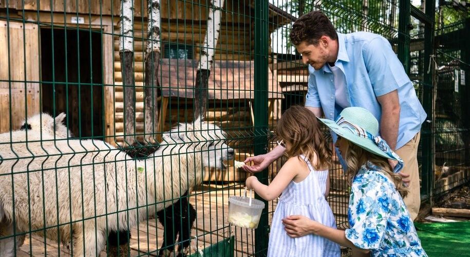  Руза Фэмили Парк - Фото 6