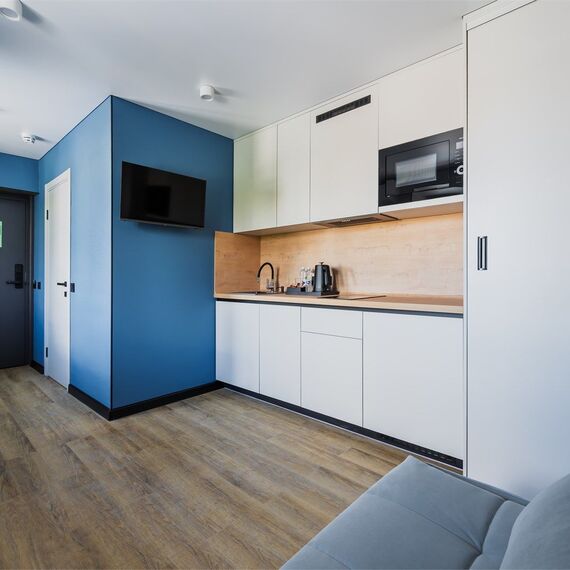 Стандарт с 1 двуспальным диваном. Фото 1