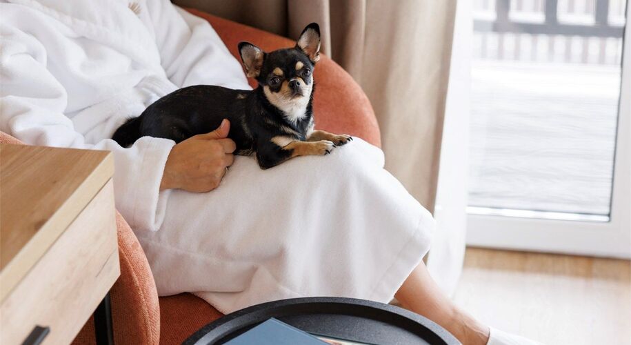 Лесная Ривьера - Фото 5