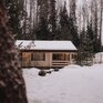  Волшебный лес - Превью 45