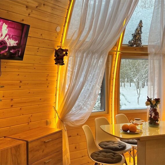 Купольный дом 1 (Коробицыно). Фото 8