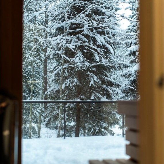 Дом для семьи или компании с 2-мя спальнями сауной и купелью. Фото 44