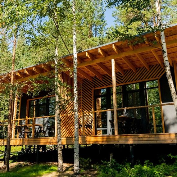 Номер «Березовая роща». Фото 24