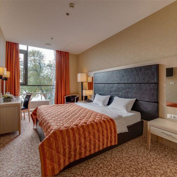 Стандарт Плюс с двуспальной кроватью. Фото 1