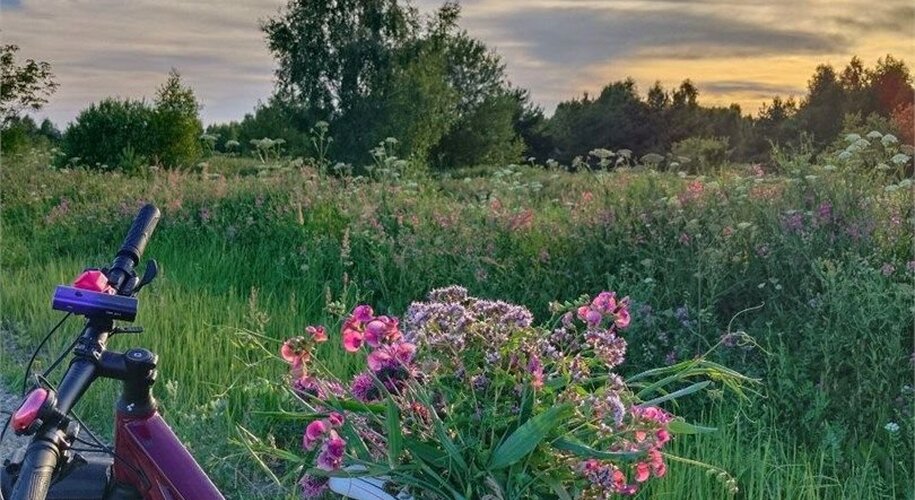  Глэмпинг парк КосмоСфера - Фото 5