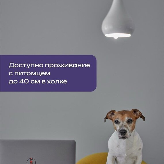 2-х местный Гостиница «Риф». Фото 16