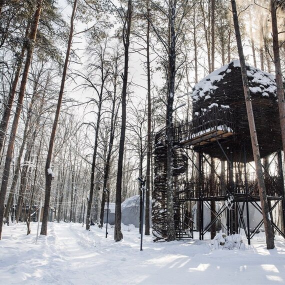 Гнездо на дереве. Фото 11