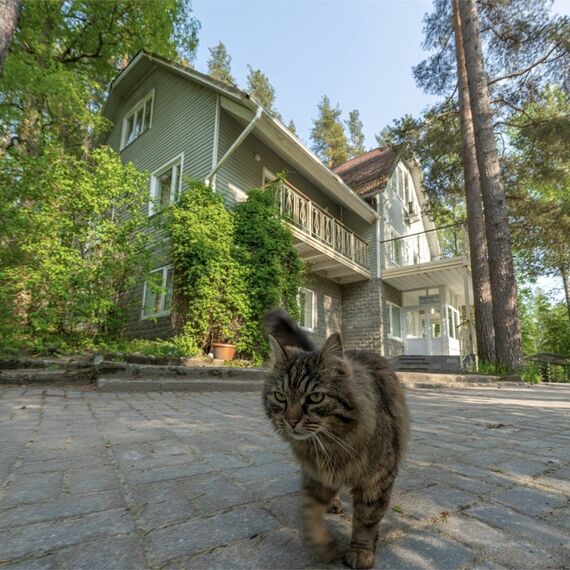 Большой трехэтажный коттедж с сауной (7 спален). Фото 21