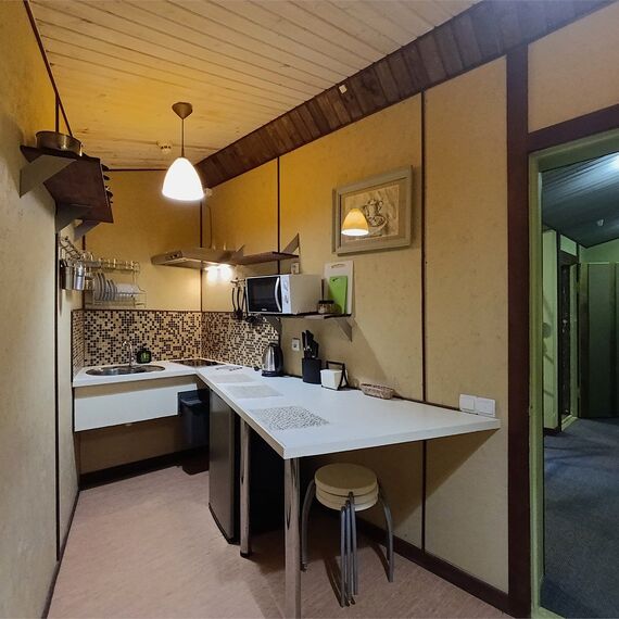 Апартаменты с кухней «Мансарда» 2-х комнатные. Фото 4