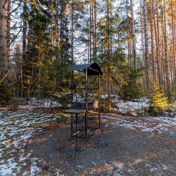 Купол «Петроглифы». Фото 71