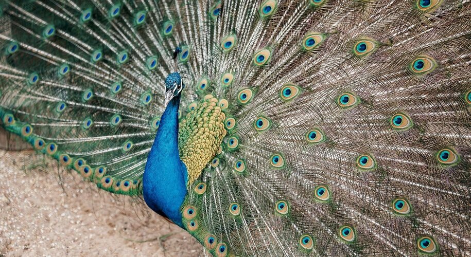 Семь озер - Фото 20