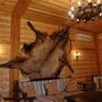 Туристический комплекс Алеша Попович Двор - Превью 6