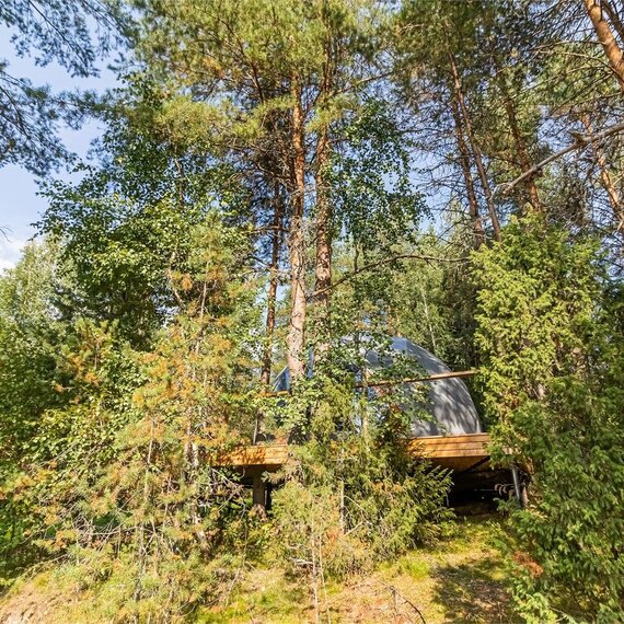 Купол «Карельский лес». Фото 24