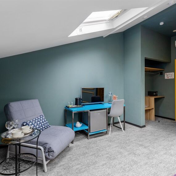 Номер с панорамными окнами SKY VIEW. Фото 15