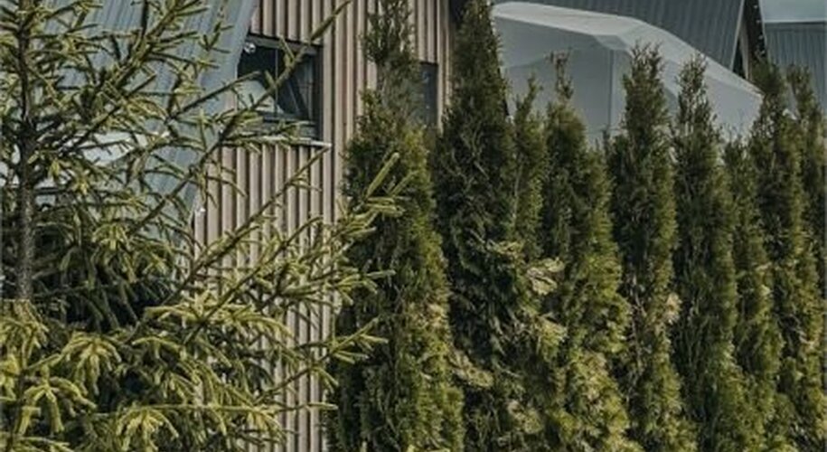 The Les - Фото 9