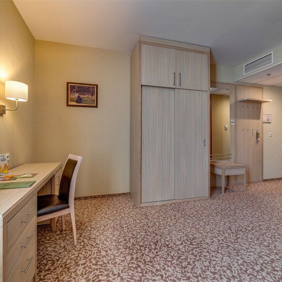 Номер, адаптированный для людей с ограниченными физическими возможностями. Фото 3