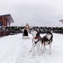  Горки Гольф Курорт - Превью 50