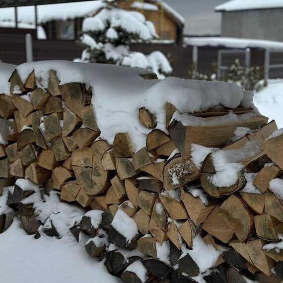 Lato-65. Фото 39