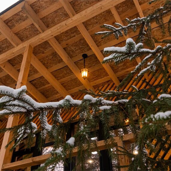 Номер «Сосновый бор». Фото 49