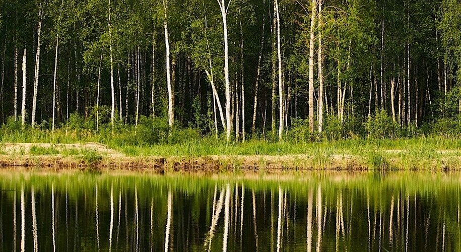  Домик в соснах - Фото 19